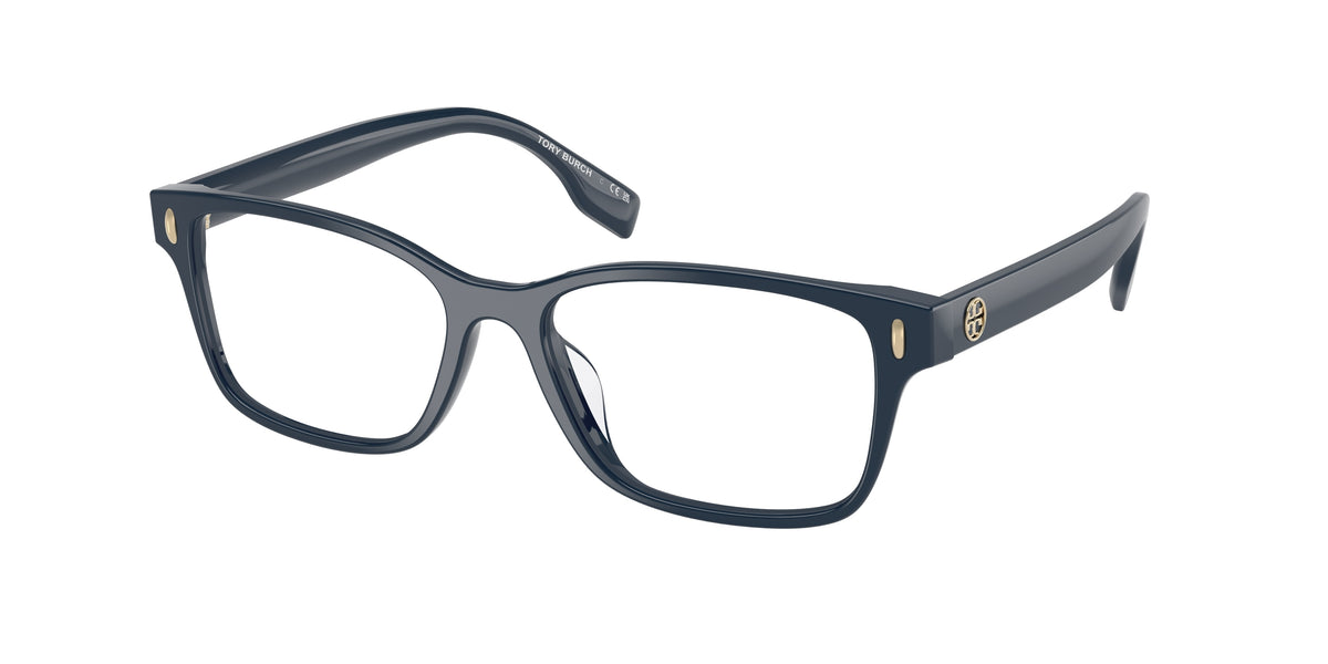 2008 - Navy Blue / Demo Lens