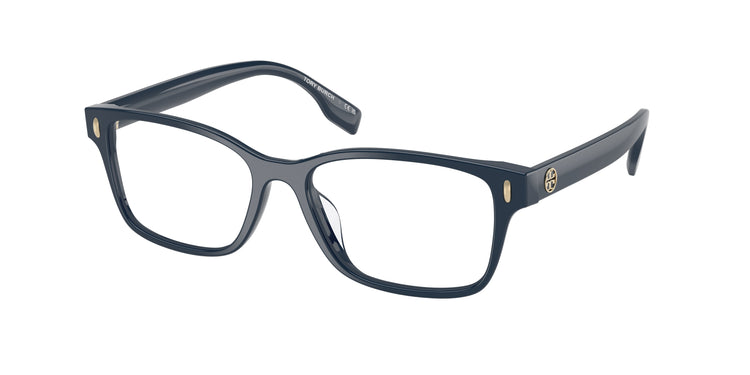 2008 - Navy Blue / Demo Lens