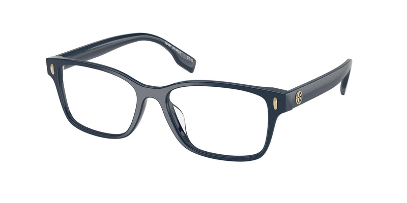 2008 - Navy Blue / Demo Lens