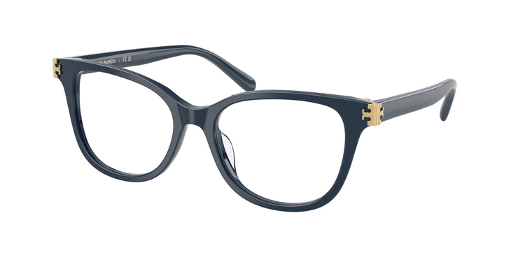 2008 - Navy Blue / Demo Lens