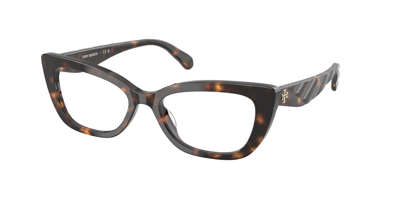 1964 - Dark Tortoise / Demo Lens