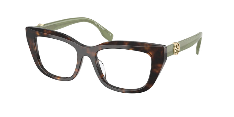 1964 - Dark Tortoise / Demo Lens