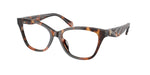 2066 - Contrast Tortoise / Demo Lens