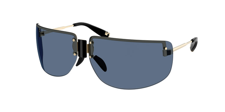331080 - Shiny Light Gold / Navy Blue