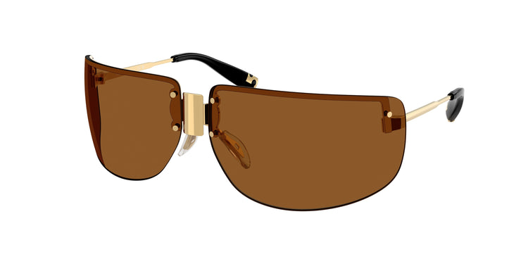 334373 - Shiny Gold / Brown