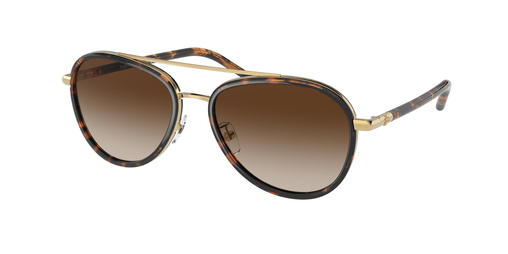 330413 - Dark Tortoise / Brown Gradient
