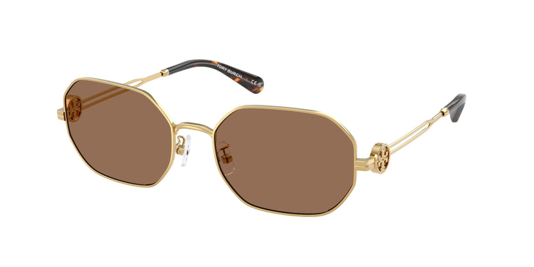 334373 - Shiny Gold / Dark Brown
