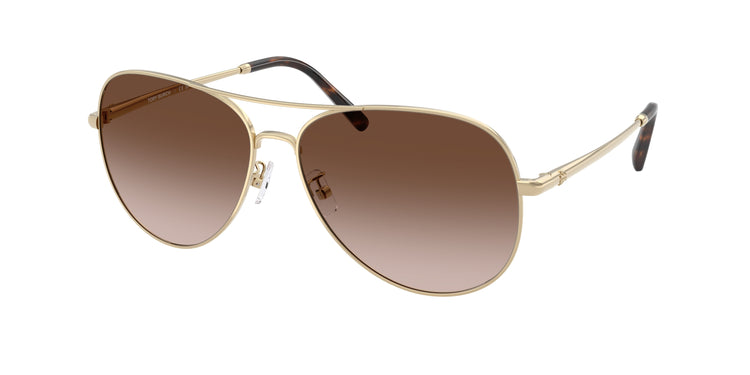 334613 - Light Gold / Brown Gradient