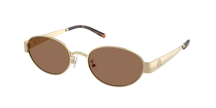 336273 - Shiny Light Gold / Dark Brown