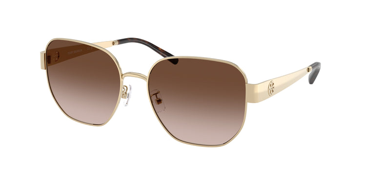 334613 - Shiny Light Gold / Brown Gradient