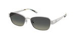 327411 - Silver / Light Grey Gradient Dark Grey