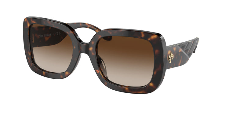 172813 - Dark Tortoise / Brown Gradient