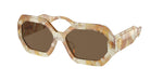 194973 - New Honey Tortoise / Dark Brown