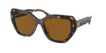 172883 - Dark Tortoise / Brown