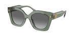 194111 - Transparent Sage / Light Grey Gradient Dark Grey