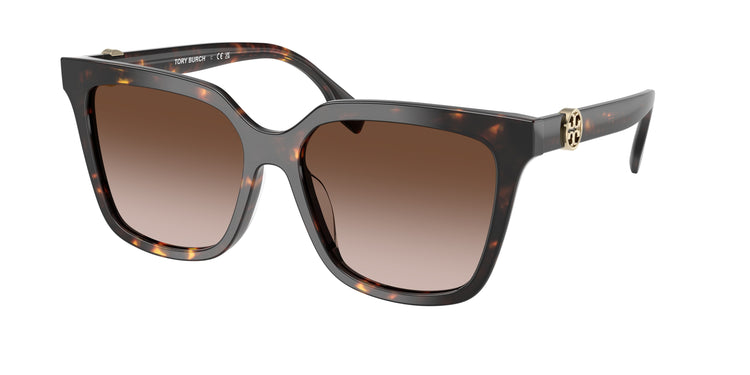 201613 - Brown Tortoise / Brown Gradient