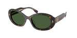 172871 - Dark Tortoise / Green