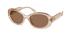 195473 - Transparent Light Brown / Dark Brown