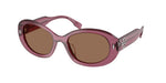 317973 - Berry Transparent / Dark Brown