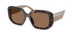 196473 - Dark Tortoise / Brown