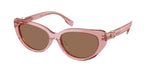 202173 - Transparent Light Pink / Dark Brown