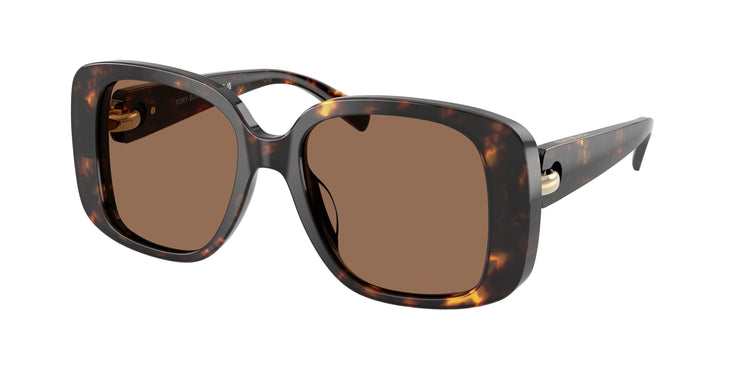 198173 - Brown Tortoise / Brown