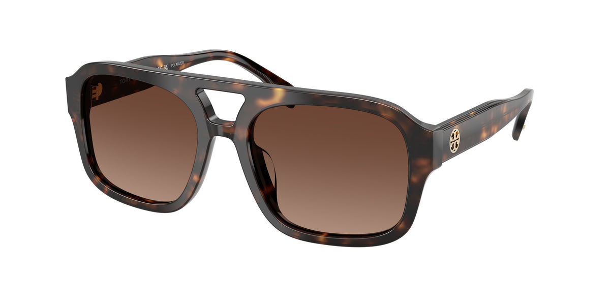 1964T5 - Dark Tortoise / Polar Light Brown Gradient