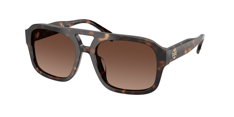 1964T5 - Dark Tortoise / Polar Light Brown Gradient