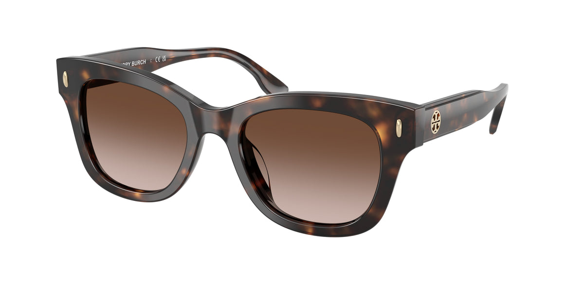 196413 - Dark Tortoise / Brown Gradient