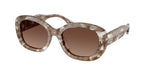 2026T5 - Transparent Brown Tortoise / Polar Light Brown Gradient