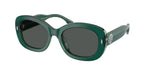 205487 - Dark Green/Transparent Sage / Dark Grey