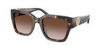 198113 - Brown Tortoise / Brown