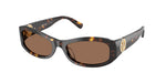 198173 - Brown Tortoise / Brown