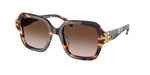 207213 - Dark Tortoise / Brown Gradient