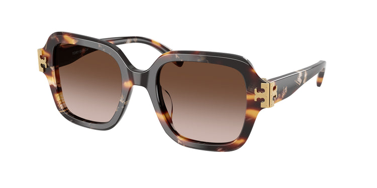 207213 - Dark Tortoise / Brown Gradient