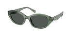 194187 - Transparent Sage / Dark Grey