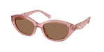 202173 - Transparent Pink / Dark Brown