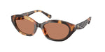 206673 - Contrast Tortoise / Amber