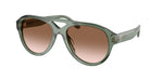 19410L - Transparent Sage / Light Grey Gradient Dark Grey