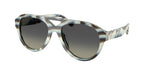194211 - Blue Ivory Horn / Light Grey Gradient Dark Grey