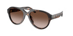 196413 - Dark Tortoise / Brown Gradient