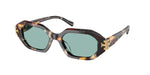 207282 - Dark Tortoise / Petrol Green