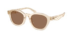 197773 - Transparent Beige / Brown