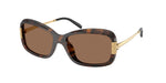 199273 - Tortoise / Dark Brown