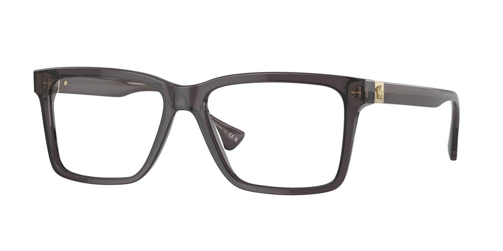 5389 - Transparent Grey / Demo Lens