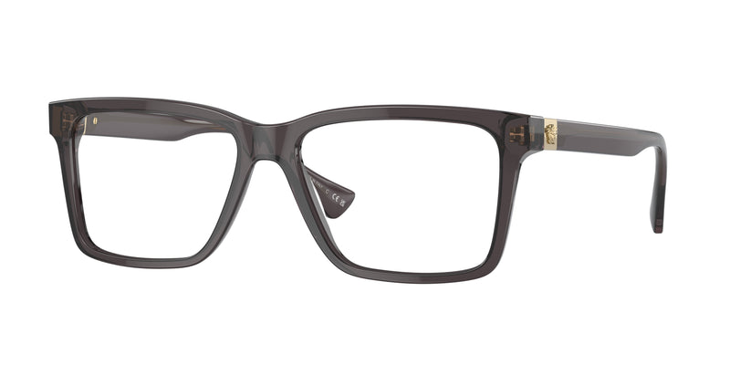 5389 - Transparent Grey / Demo Lens