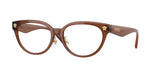 5508 - Brown Transparent / Demo Lens