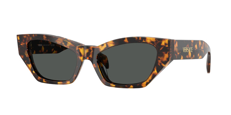 551487 - Havana Tortoise / Dark Grey