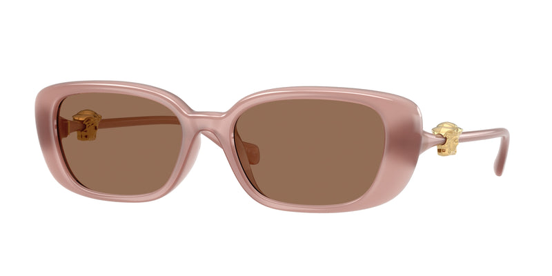 553573 - Opal Pink / Dark Brown