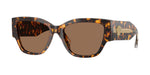 551473 - Havana Yellow / Dark Brown